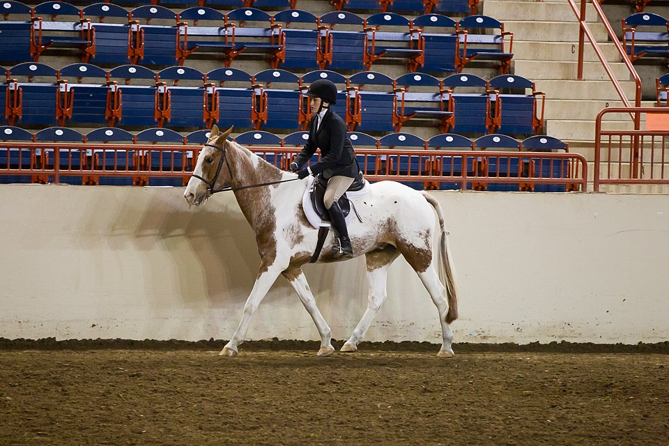 4H-State-2016-1023.jpg