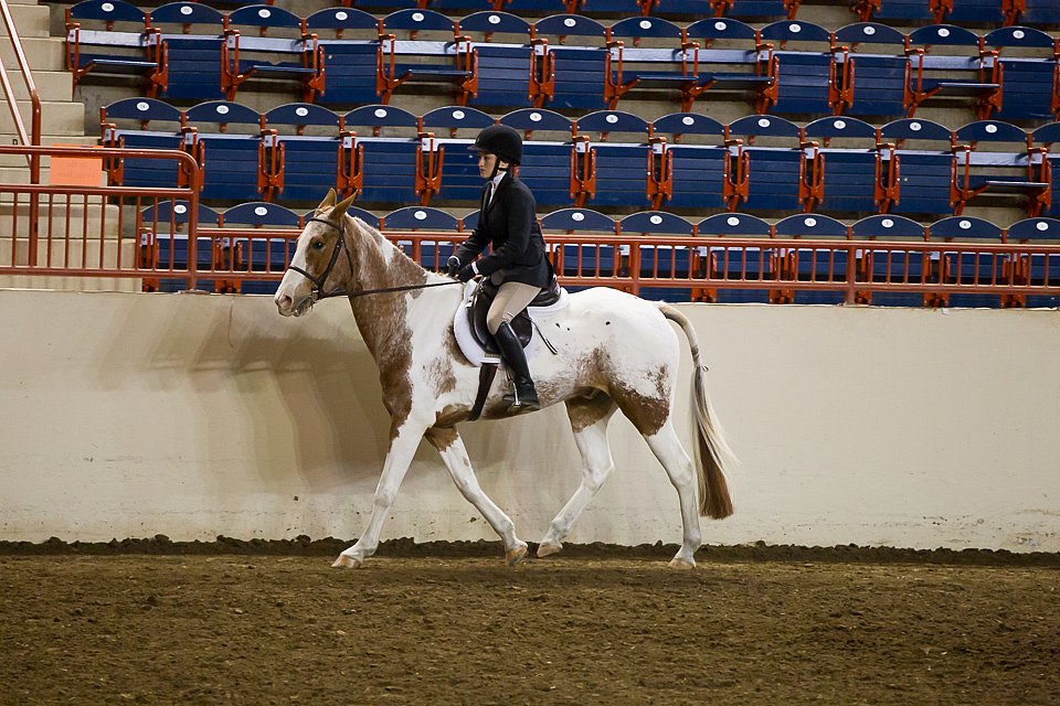 4H-State-2016-1024.jpg