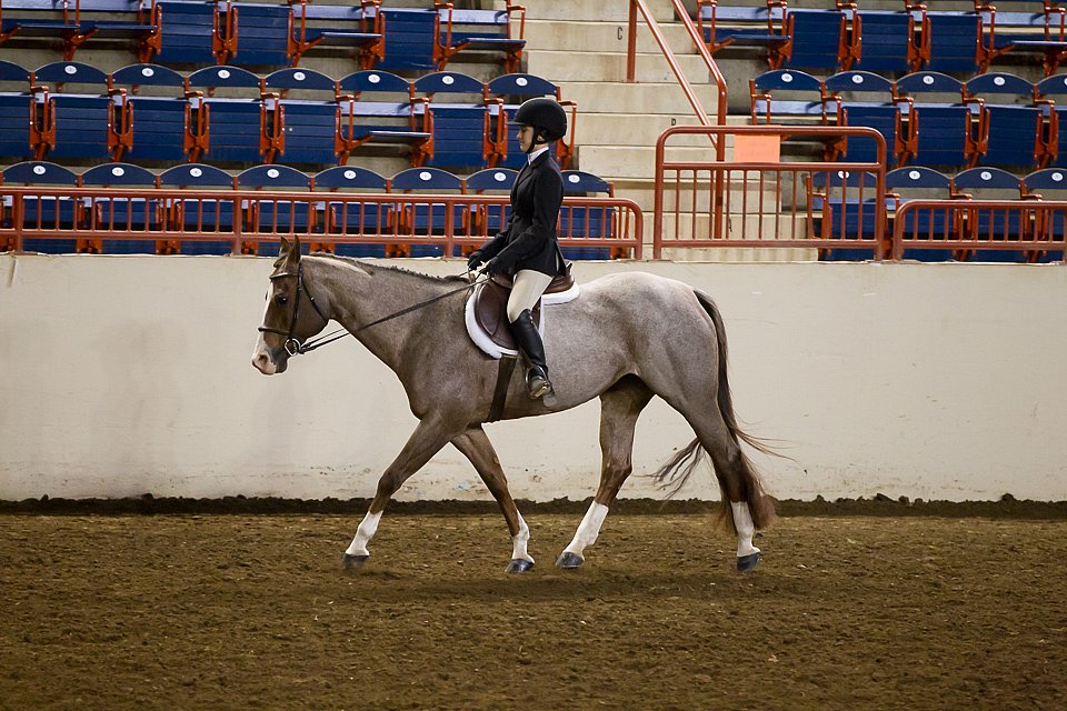 4H-State-2016-1025.jpg