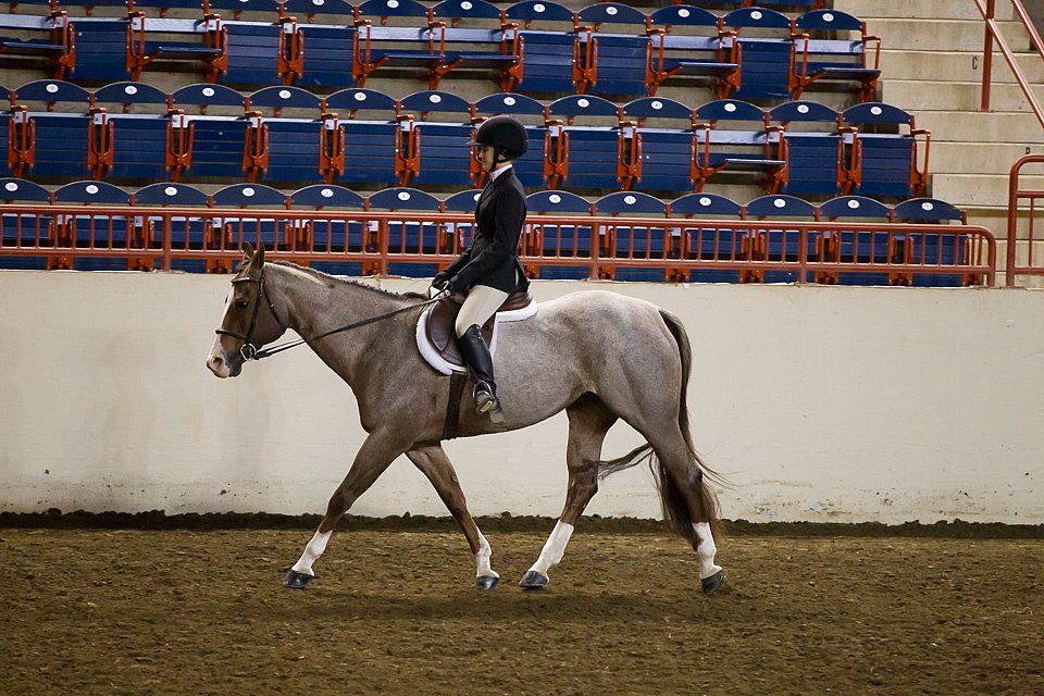 4H-State-2016-1026.jpg