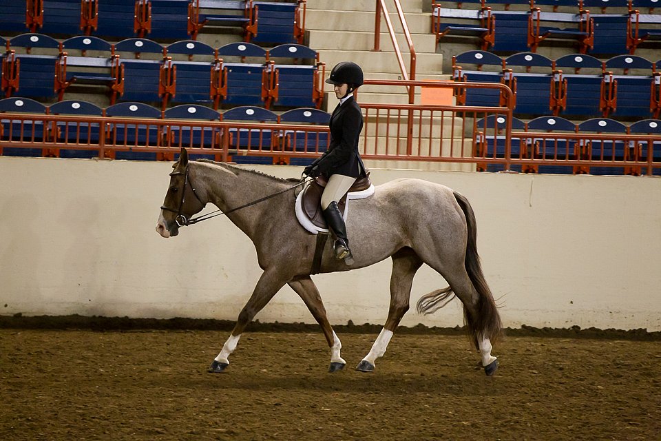 4H-State-2016-1027.jpg