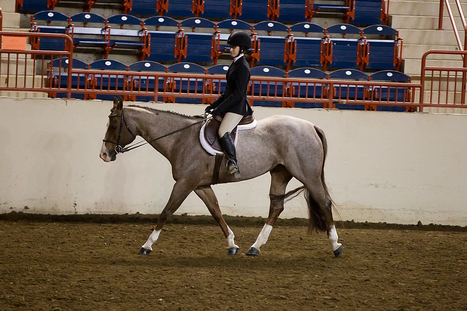 4H-State-2016-1028.jpg