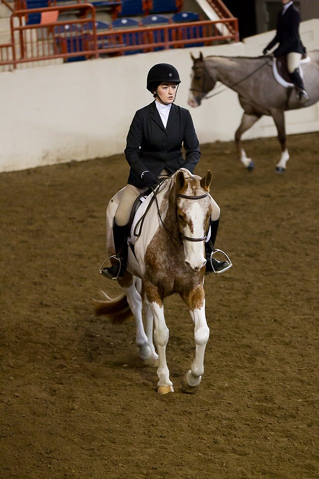 4H-State-2016-1030.jpg