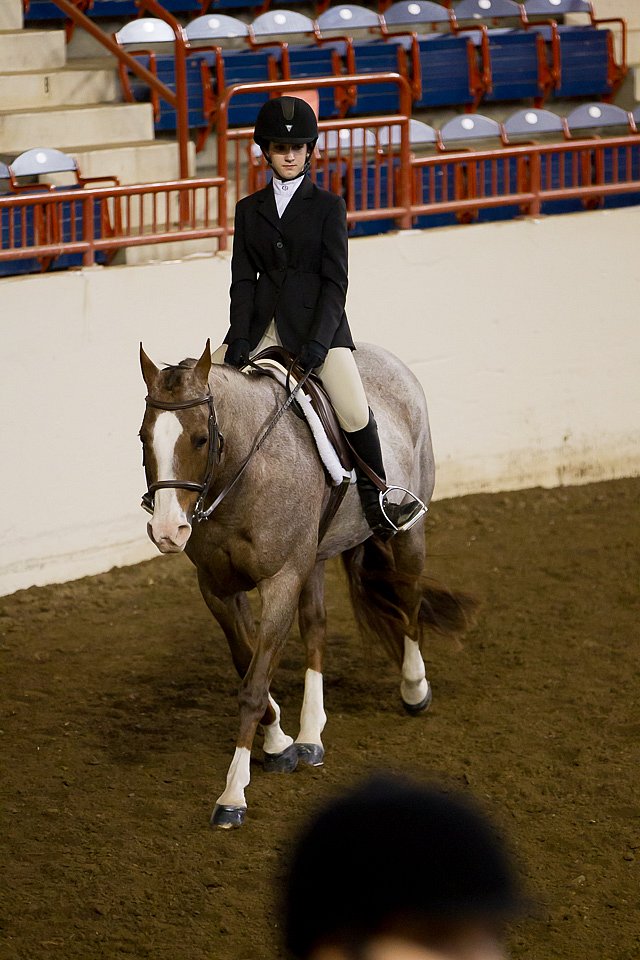 4H-State-2016-1031.jpg