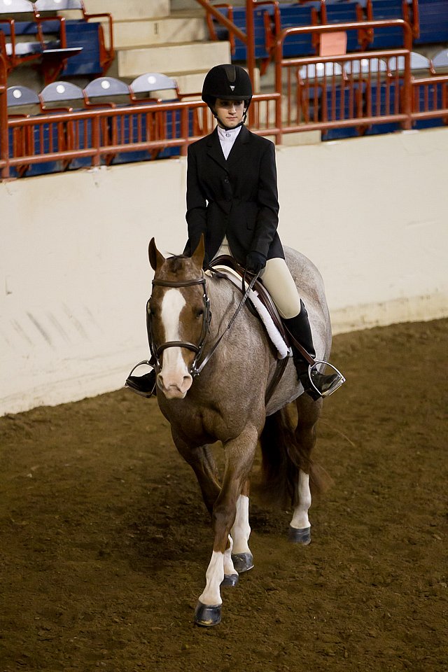 4H-State-2016-1032.jpg