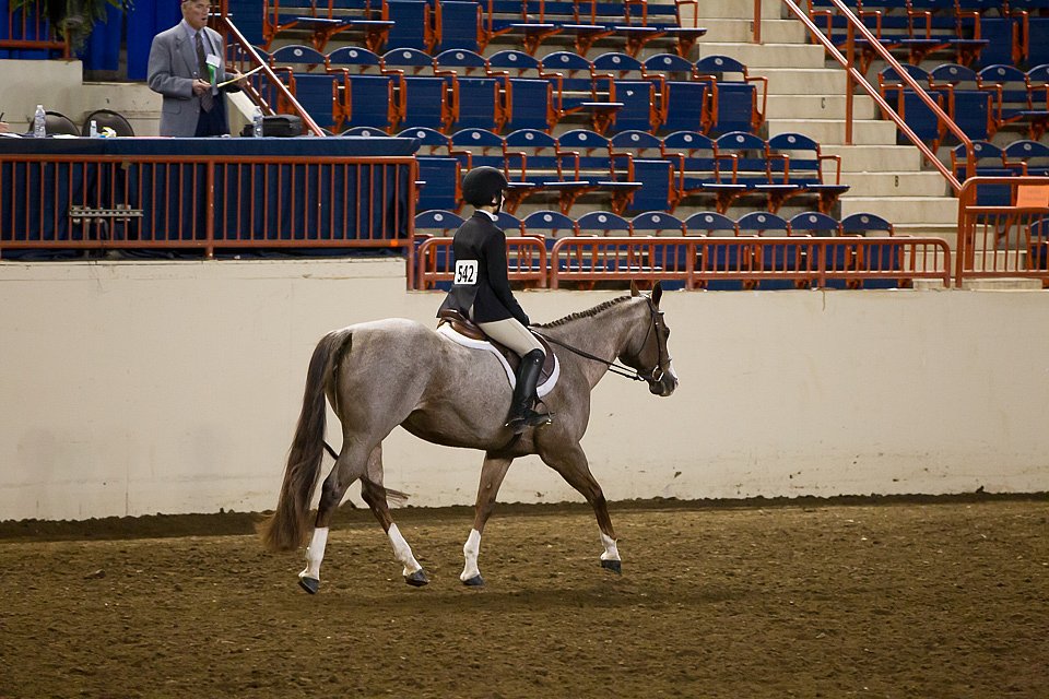 4H-State-2016-1033.jpg