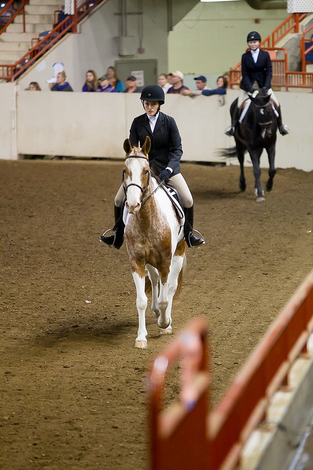 4H-State-2016-1034.jpg