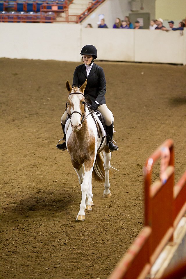 4H-State-2016-1035.jpg