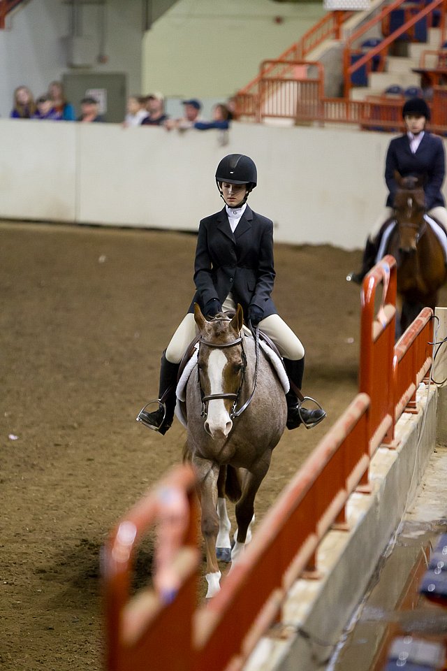 4H-State-2016-1037.jpg
