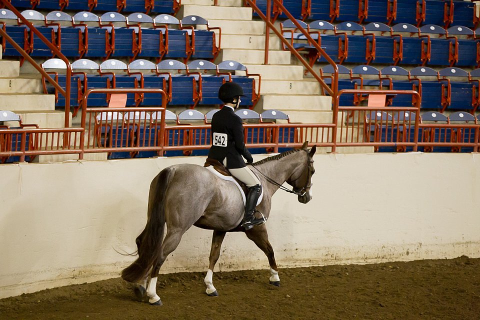 4H-State-2016-1040.jpg