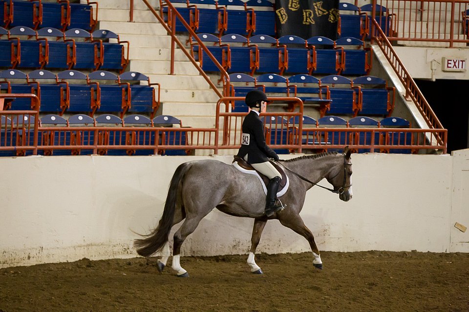 4H-State-2016-1041.jpg