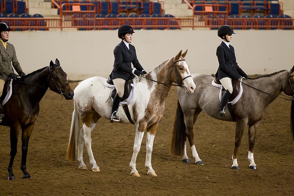 4H-State-2016-1042.jpg