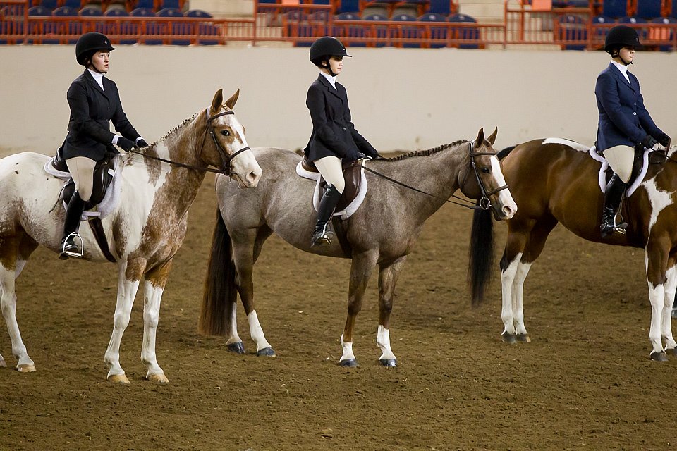 4H-State-2016-1043.jpg