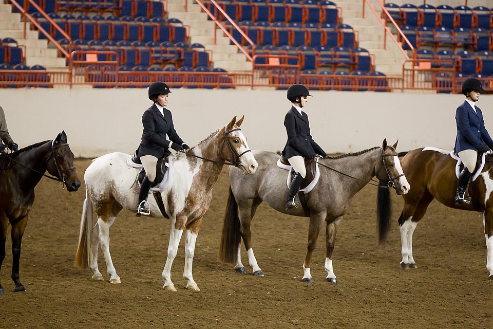 4H-State-2016-1044.jpg
