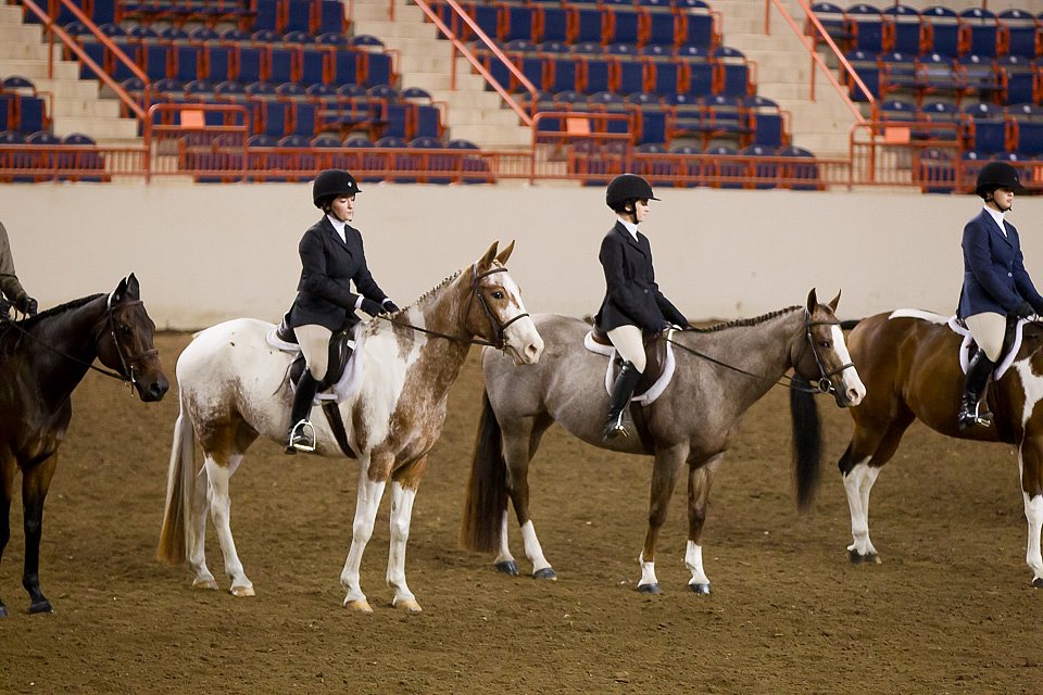 4H-State-2016-1045.jpg