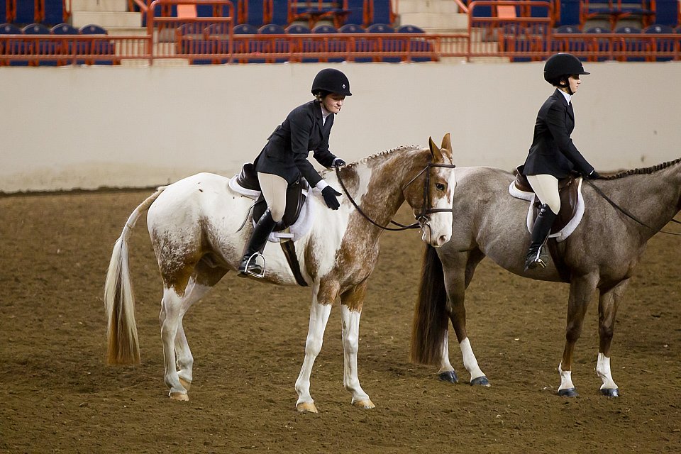 4H-State-2016-1046.jpg