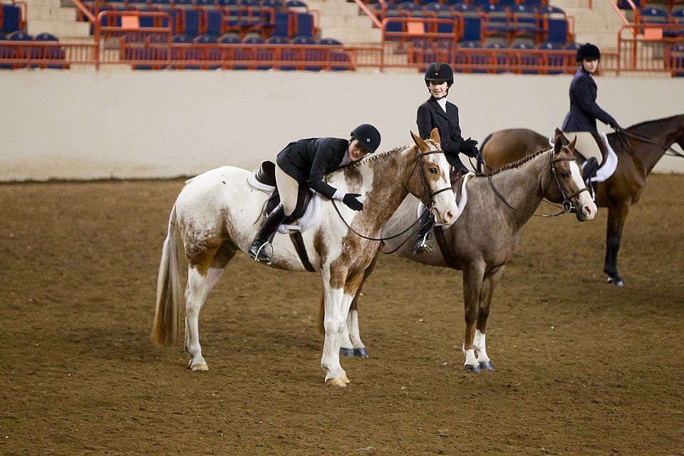 4H-State-2016-1047.jpg
