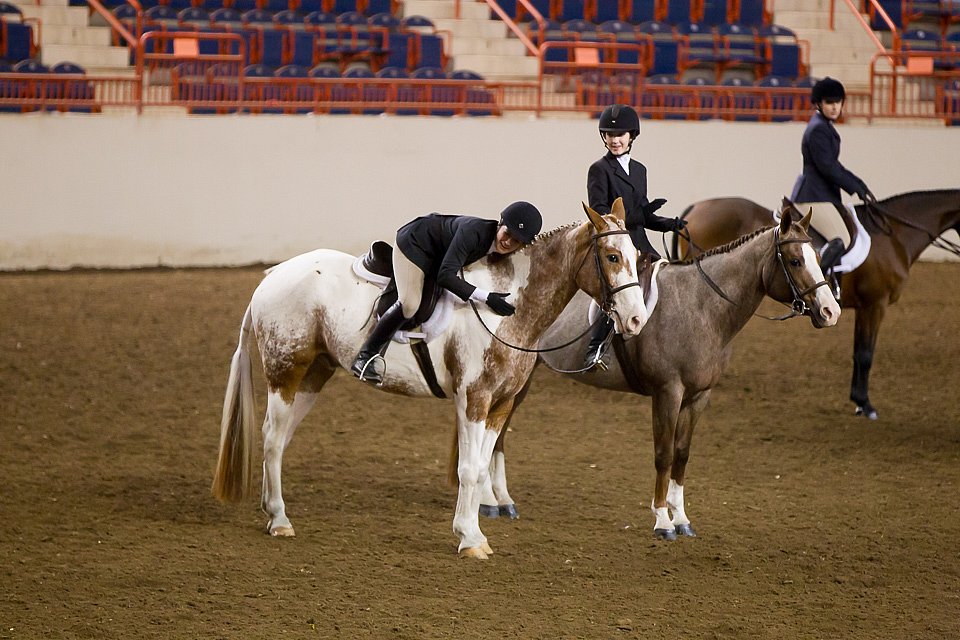 4H-State-2016-1048.jpg