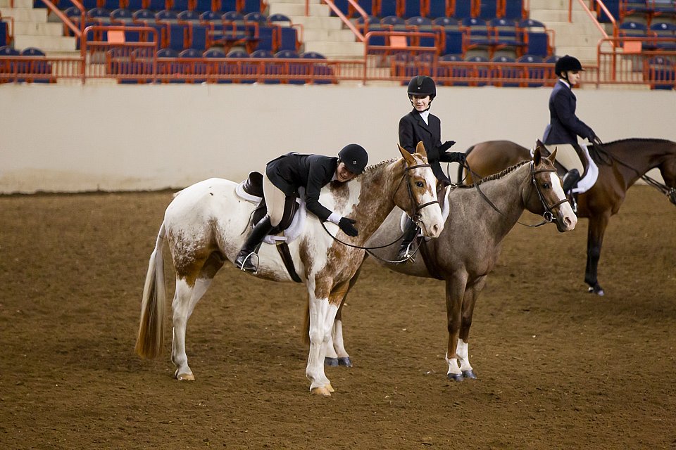 4H-State-2016-1049.jpg