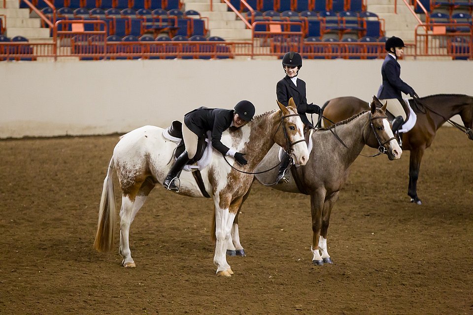 4H-State-2016-1050.jpg