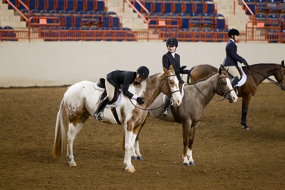 4H-State-2016-1051.jpg