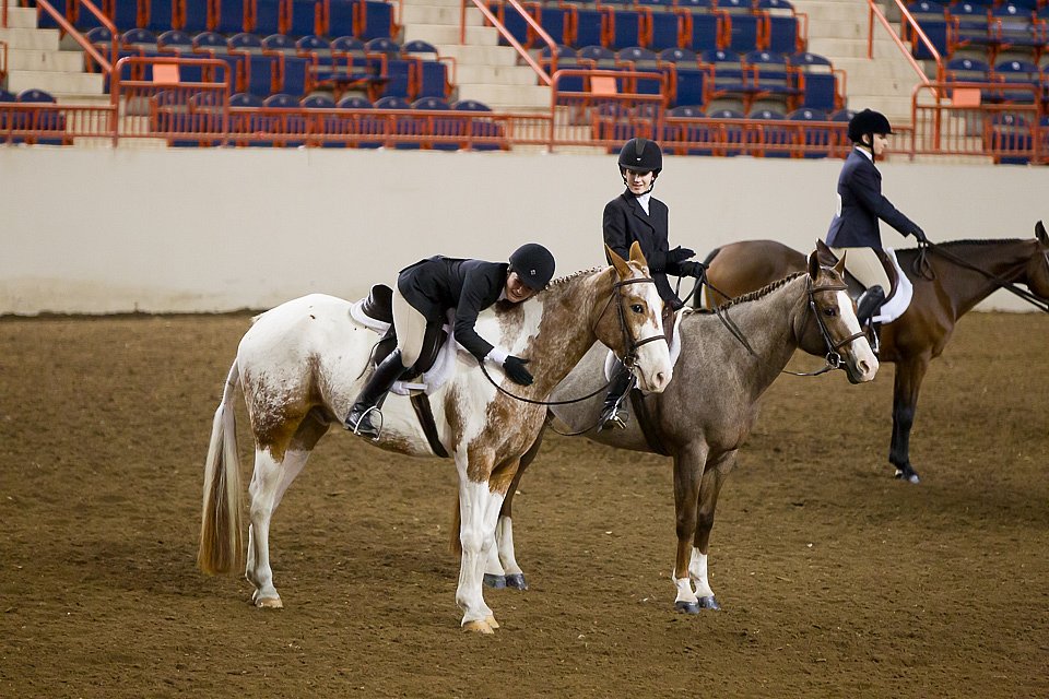 4H-State-2016-1052.jpg