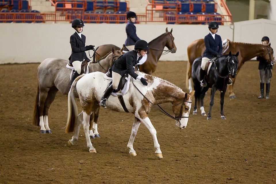 4H-State-2016-1053.jpg