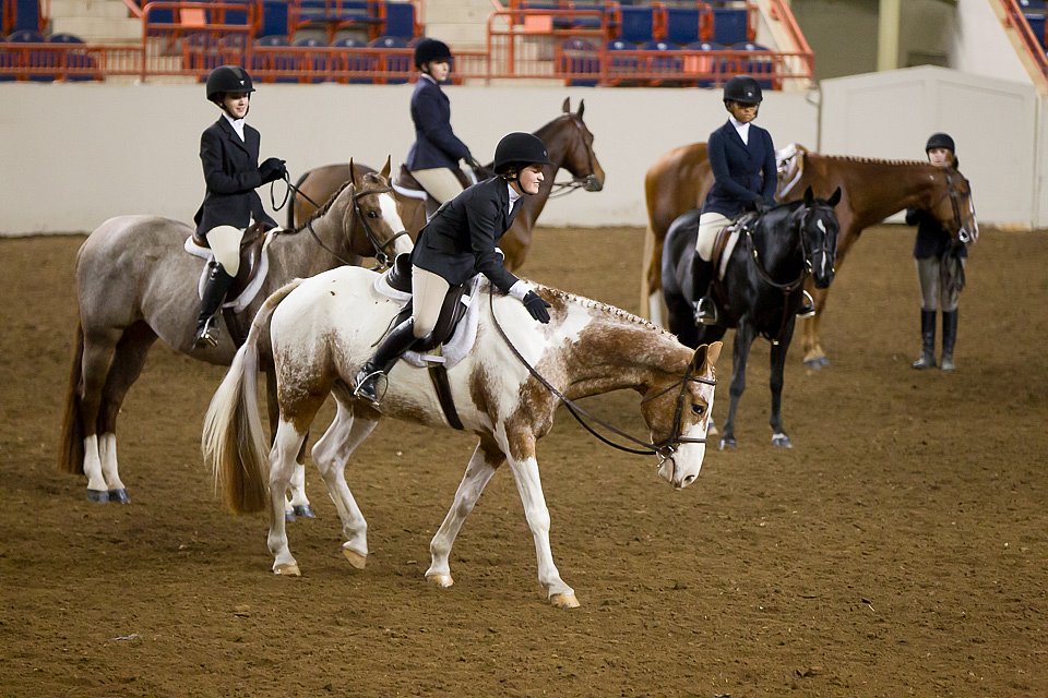 4H-State-2016-1054.jpg