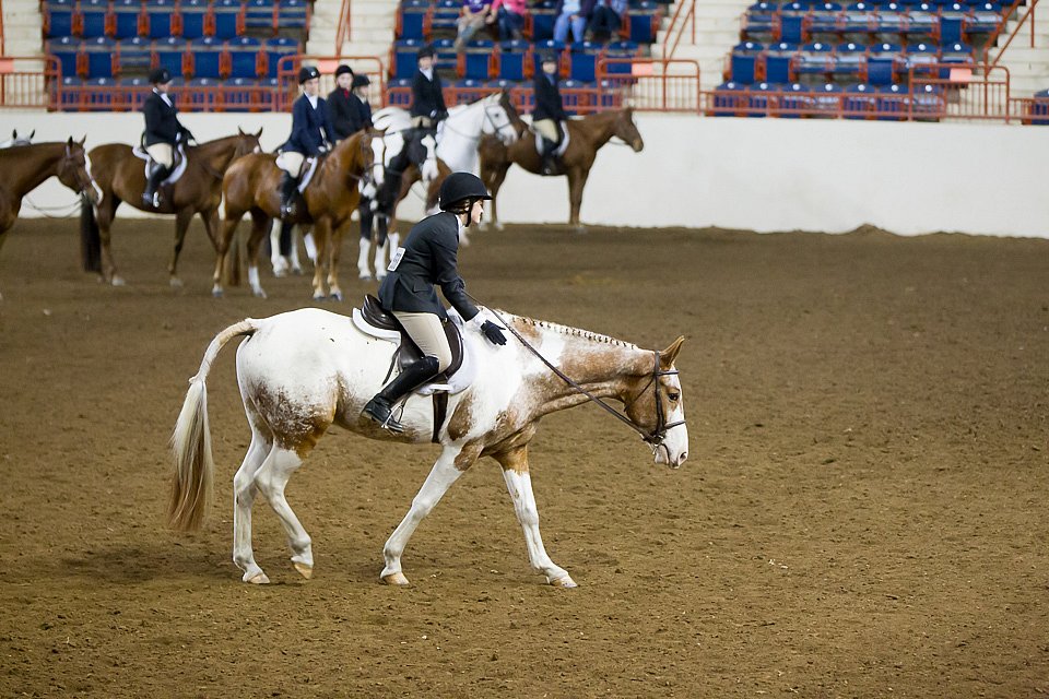 4H-State-2016-1056.jpg