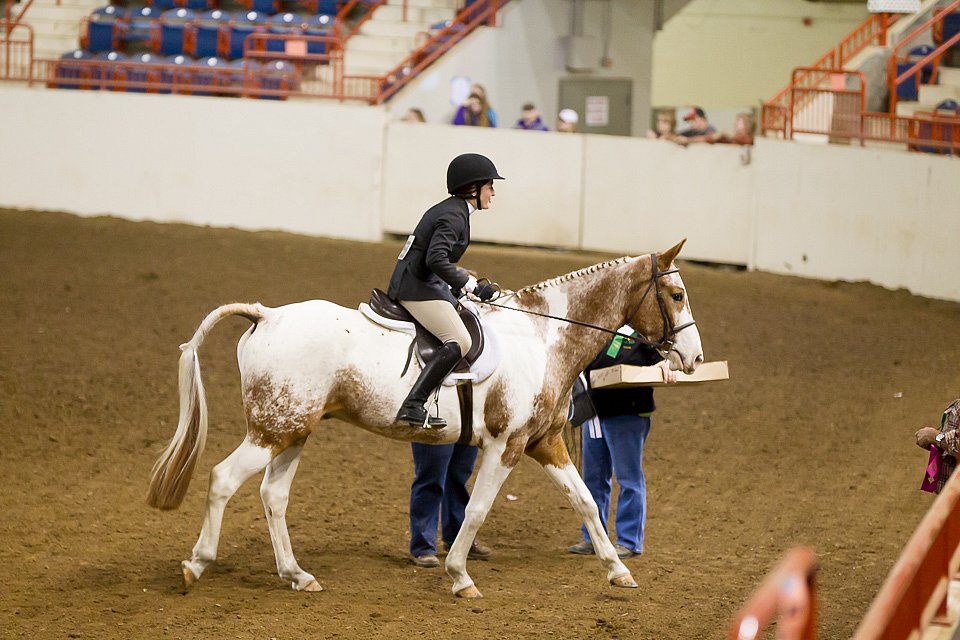 4H-State-2016-1057.jpg