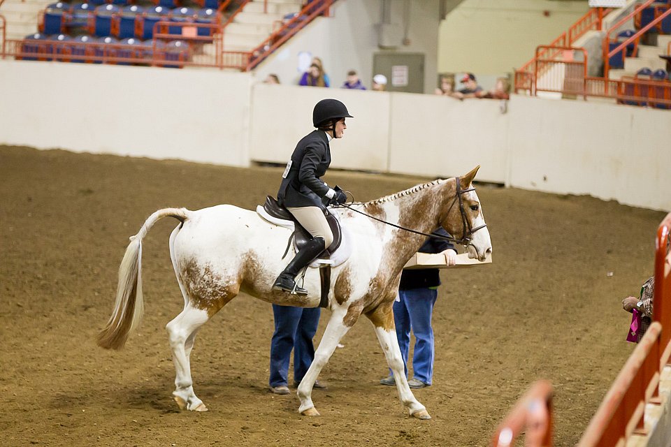 4H-State-2016-1058.jpg