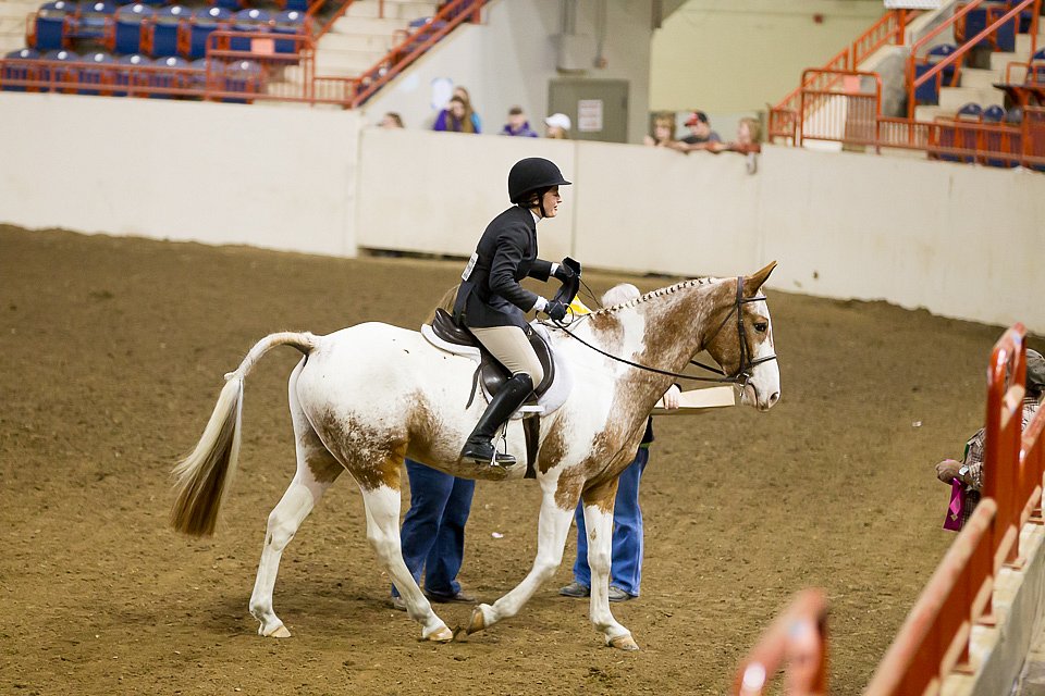 4H-State-2016-1060.jpg