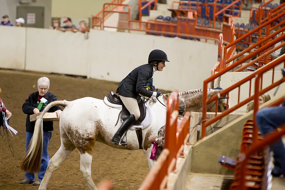 4H-State-2016-1062.jpg