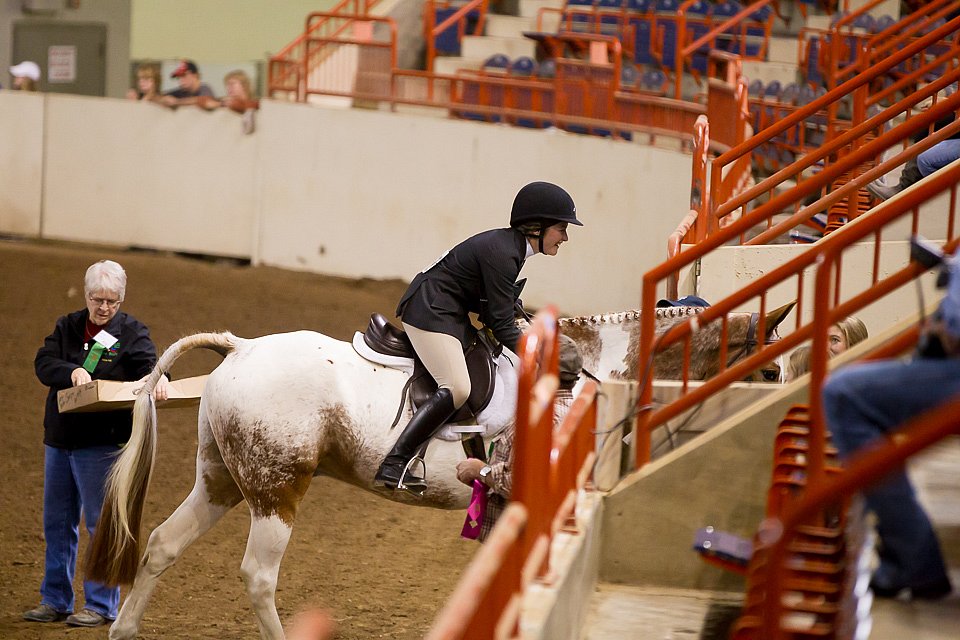 4H-State-2016-1063.jpg