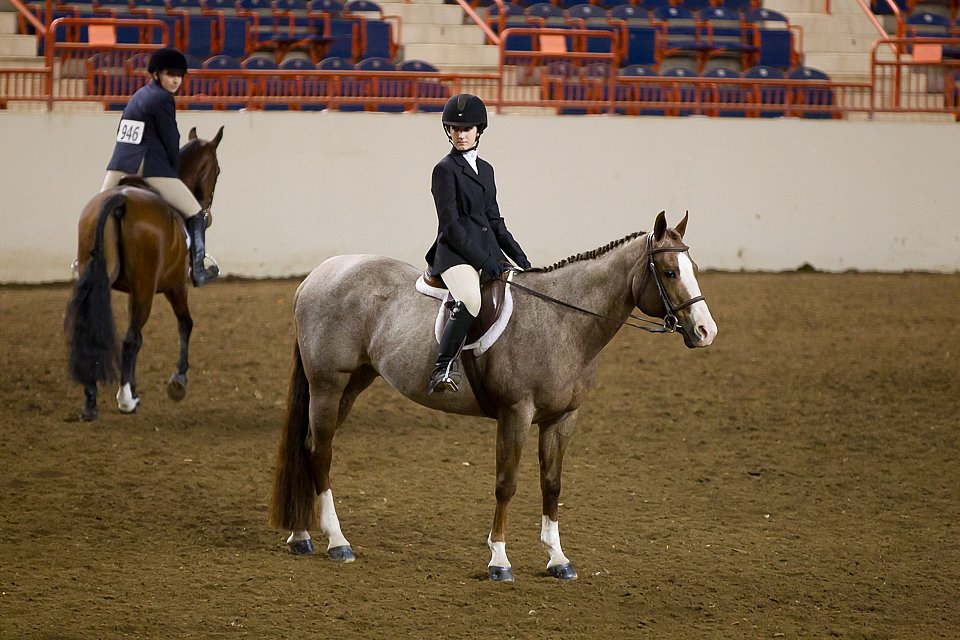 4H-State-2016-1064.jpg