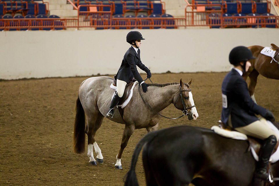4H-State-2016-1065.jpg