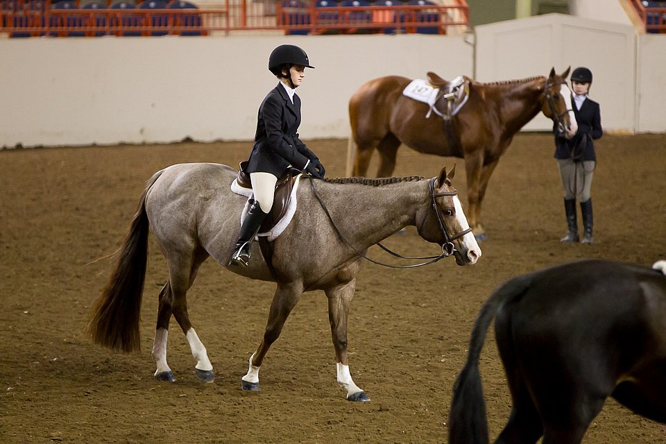 4H-State-2016-1067.jpg