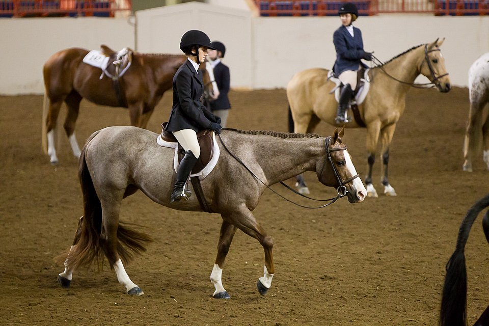 4H-State-2016-1068.jpg
