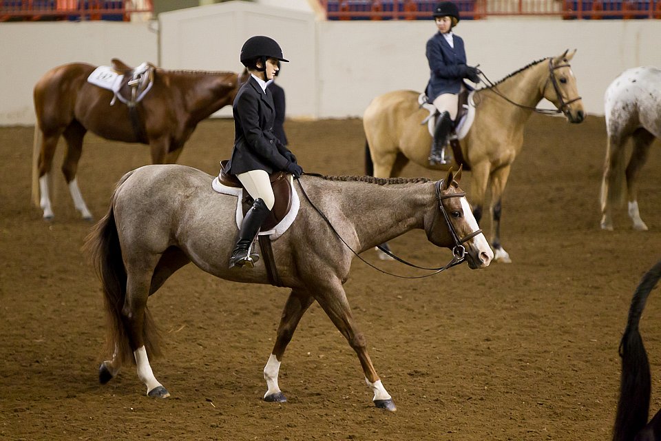 4H-State-2016-1069.jpg