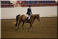 4H-State-2016-0976.jpg