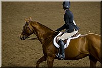 4H-State-2016-0977.jpg