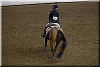 4H-State-2016-0978.jpg