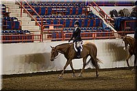 4H-State-2016-0985.jpg