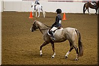 4H-State-2016-1005.jpg