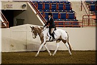 4H-State-2016-1018.jpg