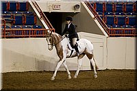 4H-State-2016-1019.jpg