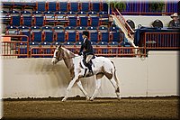 4H-State-2016-1021.jpg