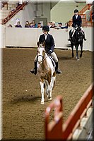 4H-State-2016-1034.jpg