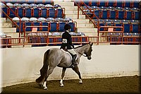 4H-State-2016-1040.jpg