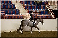 4H-State-2016-1041.jpg